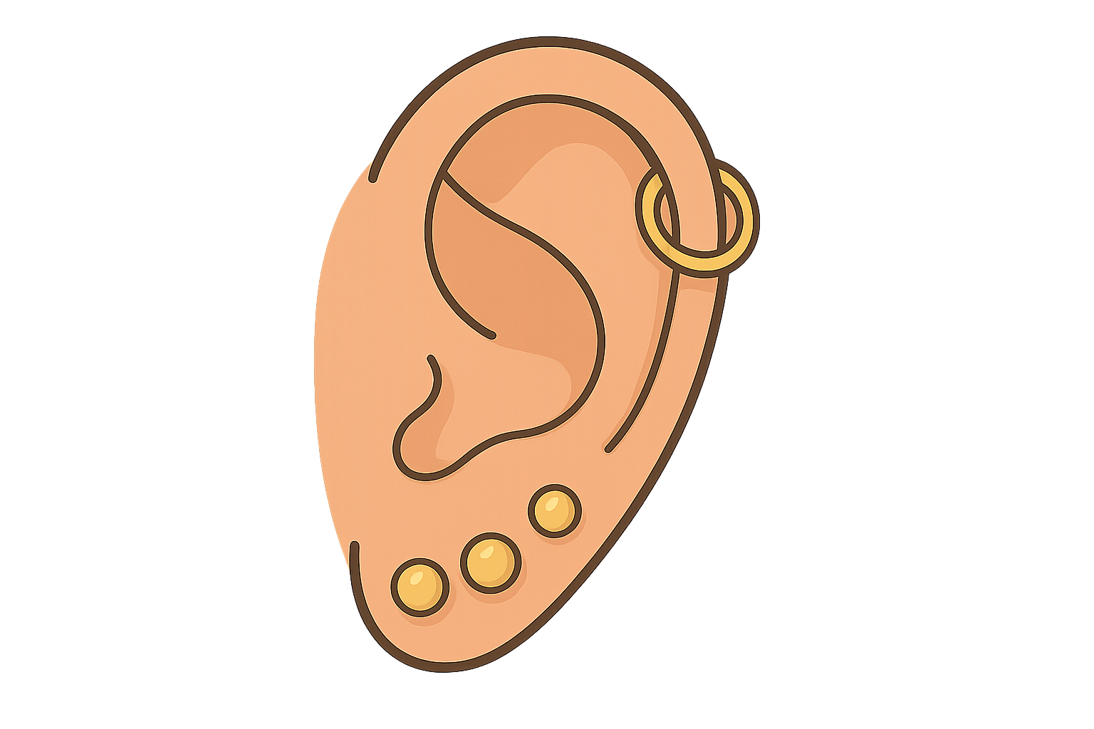 Illustration of a curated ear: coordinated studs and hoops styled across the lobe and cartilage