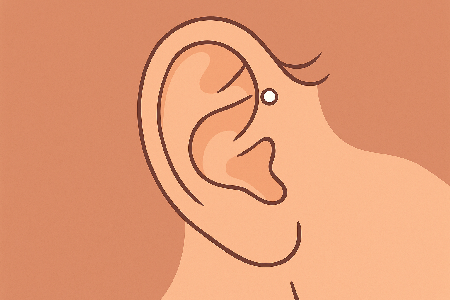 Illustration of a forward helix piercing: a stud on the upper front cartilage near the face