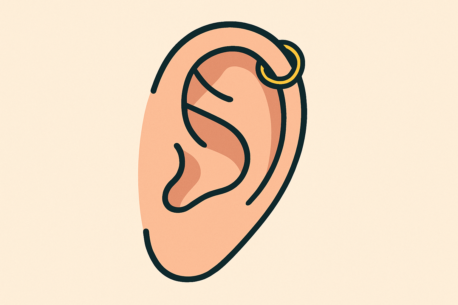 Illustration of a helix piercing: a small hoop on the upper outer rim of the ear